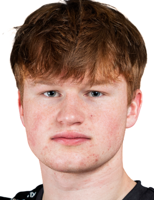 Dominiks Romenskis profil resmi