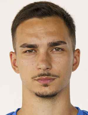 Dobrica Tegeltija profil resmi