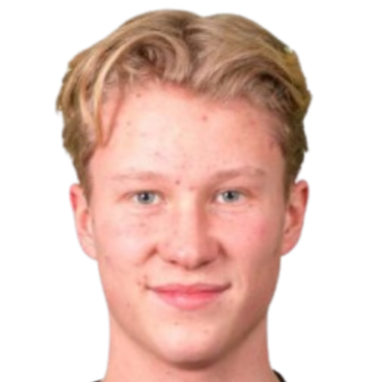 Edvard Sundbö Pettersen