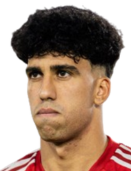 Fadel Mansour Logo