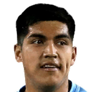 nicolas bruna araya