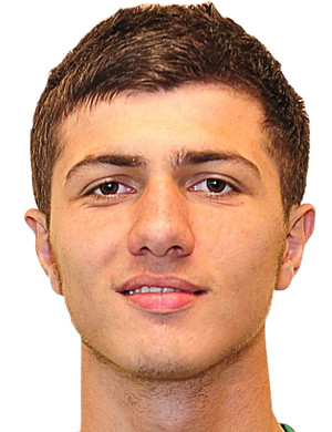 Shikhamir Isaev profil resmi