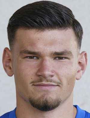 ammar zdralic