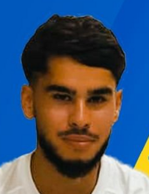 Ali Gundogdu