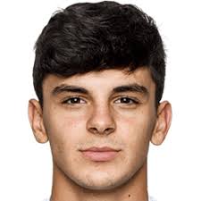 เอเดรียน ฮายดารี