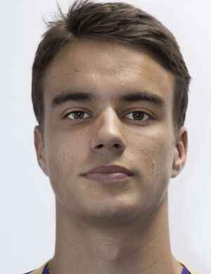 Aron Mester