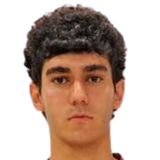 hamlet sargsyan