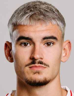 A. Liesche Prieto profil resmi