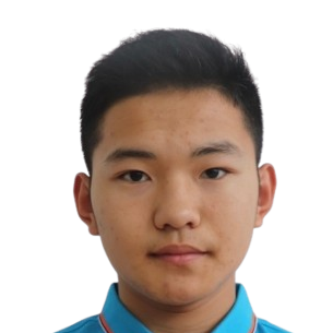 Lin Wenbo