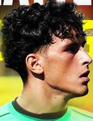 Matteo Giangregorio profil resmi