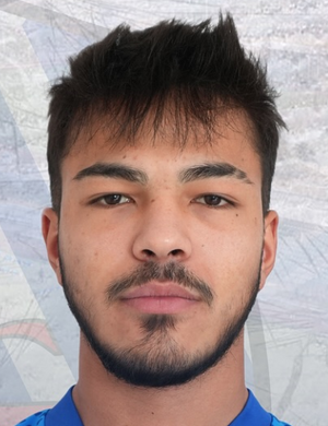 Abdulkadir Arslan