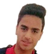 Mostafa Mahmoud photo