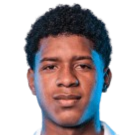 Yamir valle del