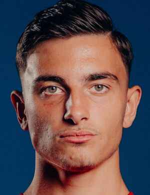 Mike Gevorgyan profil resmi