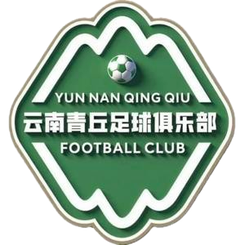 Yunnan Qingqiu logo