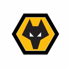 Wolverhampton U19 logo