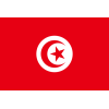Tunisia U19 Logo