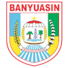 PS Banyuasin logo