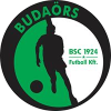 Budaorsi SC  U19 (w) logo