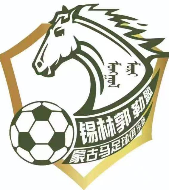锡林郭勒盟蒙古马U13
