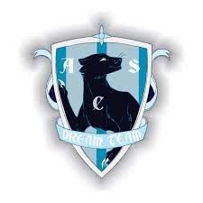 Dream Team Bucurest (w)