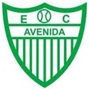 Avenida RS U20 logo