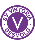 https://img.thesports.com/football/team/0351cdcf57060d7f898fdf865806b679.png