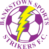 Bankstown Strikers logo