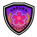 https://img.thesports.com/football/team/0559cb372d75e23616ffdac20aedef84.png
