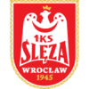 Sleza Wroclaw U19 logo
