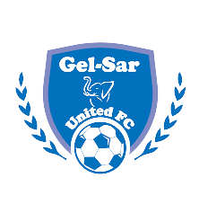 Gelsar Womon logo