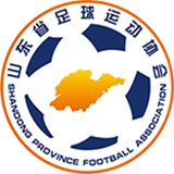 ShanDong JFSS (w) logo