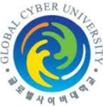 International Cyber University