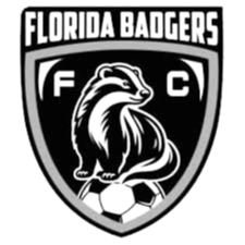 佛罗里达獾队 - 图标