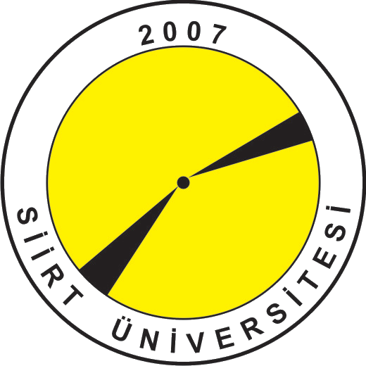 錫爾特大學
