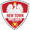 New Town Eagles II logo