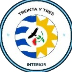 三十三内陆 - 图标