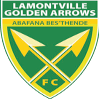 Lamontville Golden Arrows Reserves logo
