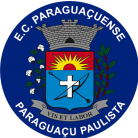 EC Paraguacuense U19 logo