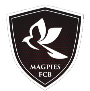 https://img.thesports.com/football/team/106f67a11019ec1c6666cbb80a63675b.png