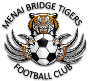 https://img.thesports.com/football/team/1223332b476b40797b31a5164380240f.png