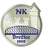 NK Brezice 1919 U19