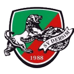 SG VFR Dersim Russelsheim