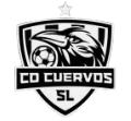 https://img.thesports.com/football/team/18f5d06e1cd6660f436e2ad31621a2e0.png