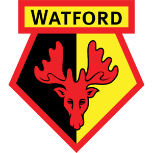 Watford (Youth) logo