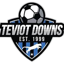 Teviot Downs SC logo
