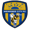 Werribee City U20 logo