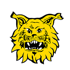 Ilves Youth