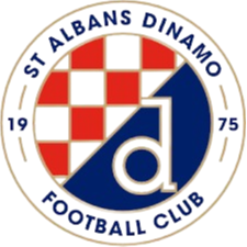 St Albans Saints (w) logo