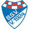 Logo Brinkumer SV